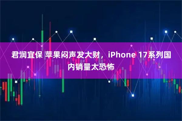 君润宜保 苹果闷声发大财,iPhone 17系列国内销量太恐怖