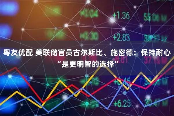 粤友优配 美联储官员古尔斯比、施密德:保持耐心“是更明智的选择”