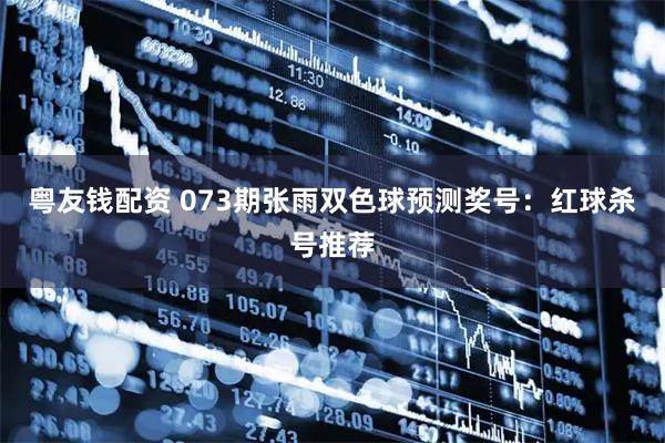 粤友钱配资 073期张雨双色球预测奖号：红球杀号推荐